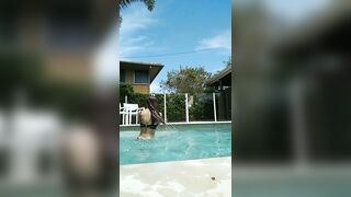 [2832 of 3935 Vids] Bree Louise (bree_louisexoxo aka breebbydance) OnlyFans Leaks Nude