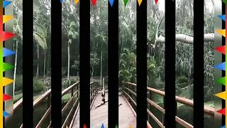 [293 of 3935 Vids] Bree Louise (bree_louisexoxo aka breebbydance) OnlyFans Leaks Nude