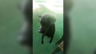 [2972 of 3935 Vids] Bree Louise (bree_louisexoxo aka breebbydance) OnlyFans Leaks Nude