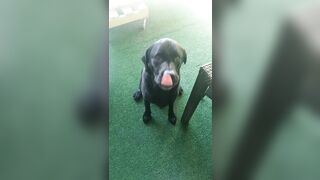 [2972 of 3935 Vids] Bree Louise (bree_louisexoxo aka breebbydance) OnlyFans Leaks Nude