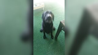 [2972 of 3935 Vids] Bree Louise (bree_louisexoxo aka breebbydance) OnlyFans Leaks Nude