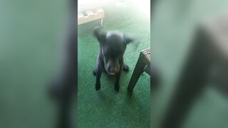 [2972 of 3935 Vids] Bree Louise (bree_louisexoxo aka breebbydance) OnlyFans Leaks Nude