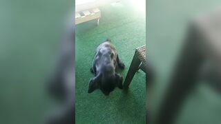 [2972 of 3935 Vids] Bree Louise (bree_louisexoxo aka breebbydance) OnlyFans Leaks Nude