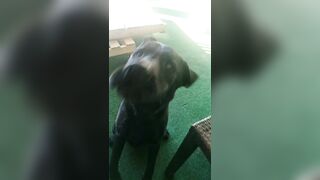 [2972 of 3935 Vids] Bree Louise (bree_louisexoxo aka breebbydance) OnlyFans Leaks Nude