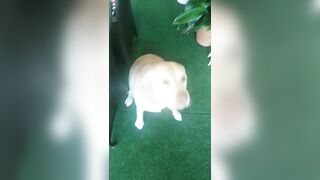 [2972 of 3935 Vids] Bree Louise (bree_louisexoxo aka breebbydance) OnlyFans Leaks Nude