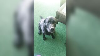 [2972 of 3935 Vids] Bree Louise (bree_louisexoxo aka breebbydance) OnlyFans Leaks Nude