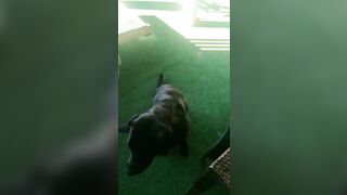 [2972 of 3935 Vids] Bree Louise (bree_louisexoxo aka breebbydance) OnlyFans Leaks Nude