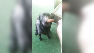 [2972 of 3935 Vids] Bree Louise (bree_louisexoxo aka breebbydance) OnlyFans Leaks Nude