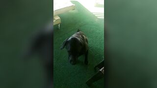 [2972 of 3935 Vids] Bree Louise (bree_louisexoxo aka breebbydance) OnlyFans Leaks Nude