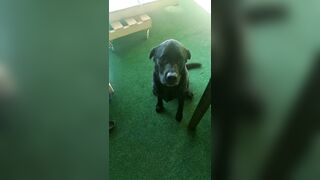 [2972 of 3935 Vids] Bree Louise (bree_louisexoxo aka breebbydance) OnlyFans Leaks Nude