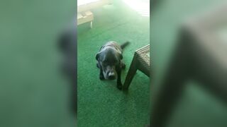 [2972 of 3935 Vids] Bree Louise (bree_louisexoxo aka breebbydance) OnlyFans Leaks Nude