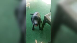 [2972 of 3935 Vids] Bree Louise (bree_louisexoxo aka breebbydance) OnlyFans Leaks Nude