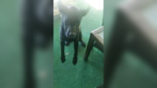 [2972 of 3935 Vids] Bree Louise (bree_louisexoxo aka breebbydance) OnlyFans Leaks Nude