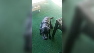 [2972 of 3935 Vids] Bree Louise (bree_louisexoxo aka breebbydance) OnlyFans Leaks Nude