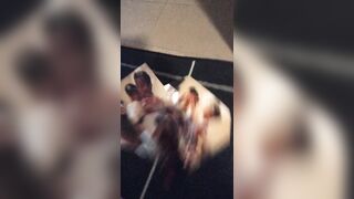 [310 of 3935 Vids] Bree Louise (bree_louisexoxo aka breebbydance) OnlyFans Leaks Nude