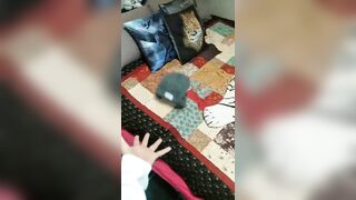 [3102 of 3935 Vids] Bree Louise (bree_louisexoxo aka breebbydance) OnlyFans Leaks Nude