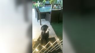 [3240 of 3935 Vids] Bree Louise (bree_louisexoxo aka breebbydance) OnlyFans Leaks Nude