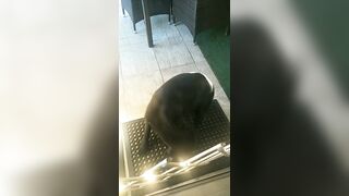 [3240 of 3935 Vids] Bree Louise (bree_louisexoxo aka breebbydance) OnlyFans Leaks Nude