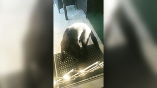 [3240 of 3935 Vids] Bree Louise (bree_louisexoxo aka breebbydance) OnlyFans Leaks Nude