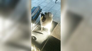 [3240 of 3935 Vids] Bree Louise (bree_louisexoxo aka breebbydance) OnlyFans Leaks Nude