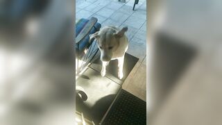 [3240 of 3935 Vids] Bree Louise (bree_louisexoxo aka breebbydance) OnlyFans Leaks Nude