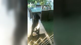 [3240 of 3935 Vids] Bree Louise (bree_louisexoxo aka breebbydance) OnlyFans Leaks Nude