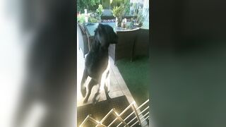 [3240 of 3935 Vids] Bree Louise (bree_louisexoxo aka breebbydance) OnlyFans Leaks Nude