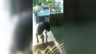 [3240 of 3935 Vids] Bree Louise (bree_louisexoxo aka breebbydance) OnlyFans Leaks Nude