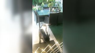 [3240 of 3935 Vids] Bree Louise (bree_louisexoxo aka breebbydance) OnlyFans Leaks Nude