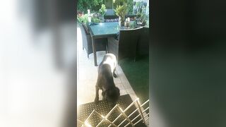 [3240 of 3935 Vids] Bree Louise (bree_louisexoxo aka breebbydance) OnlyFans Leaks Nude