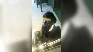 [3240 of 3935 Vids] Bree Louise (bree_louisexoxo aka breebbydance) OnlyFans Leaks Nude