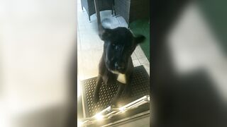 [3240 of 3935 Vids] Bree Louise (bree_louisexoxo aka breebbydance) OnlyFans Leaks Nude