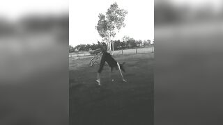 [333 of 3935 Vids] Bree Louise (bree_louisexoxo aka breebbydance) OnlyFans Leaks Nude