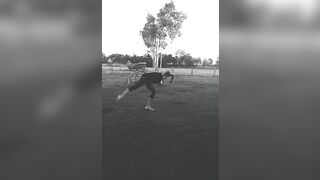 [333 of 3935 Vids] Bree Louise (bree_louisexoxo aka breebbydance) OnlyFans Leaks Nude