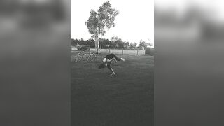 [333 of 3935 Vids] Bree Louise (bree_louisexoxo aka breebbydance) OnlyFans Leaks Nude