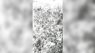 [3427 of 3935 Vids] Bree Louise (bree_louisexoxo aka breebbydance) OnlyFans Leaks Nude