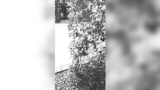 [3427 of 3935 Vids] Bree Louise (bree_louisexoxo aka breebbydance) OnlyFans Leaks Nude