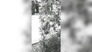 [3427 of 3935 Vids] Bree Louise (bree_louisexoxo aka breebbydance) OnlyFans Leaks Nude