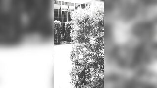 [3427 of 3935 Vids] Bree Louise (bree_louisexoxo aka breebbydance) OnlyFans Leaks Nude