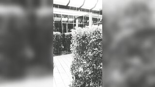 [3427 of 3935 Vids] Bree Louise (bree_louisexoxo aka breebbydance) OnlyFans Leaks Nude