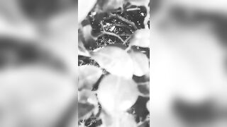 [3427 of 3935 Vids] Bree Louise (bree_louisexoxo aka breebbydance) OnlyFans Leaks Nude