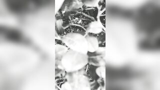 [3427 of 3935 Vids] Bree Louise (bree_louisexoxo aka breebbydance) OnlyFans Leaks Nude