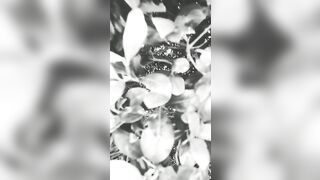 [3427 of 3935 Vids] Bree Louise (bree_louisexoxo aka breebbydance) OnlyFans Leaks Nude