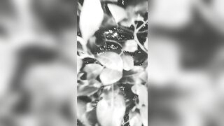 [3427 of 3935 Vids] Bree Louise (bree_louisexoxo aka breebbydance) OnlyFans Leaks Nude