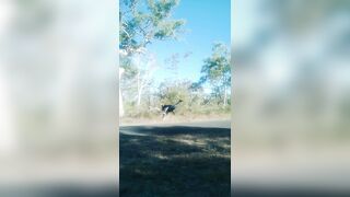 [3447 of 3935 Vids] Bree Louise (bree_louisexoxo aka breebbydance) OnlyFans Leaks Nude