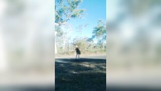 [3447 of 3935 Vids] Bree Louise (bree_louisexoxo aka breebbydance) OnlyFans Leaks Nude