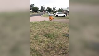 [3497 of 3935 Vids] Bree Louise (bree_louisexoxo aka breebbydance) OnlyFans Leaks Nude