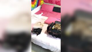 [3538 of 3935 Vids] Bree Louise (bree_louisexoxo aka breebbydance) OnlyFans Leaks Nude