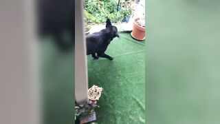 [3548 of 3935 Vids] Bree Louise (bree_louisexoxo aka breebbydance) OnlyFans Leaks Nude