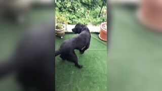 [3548 of 3935 Vids] Bree Louise (bree_louisexoxo aka breebbydance) OnlyFans Leaks Nude